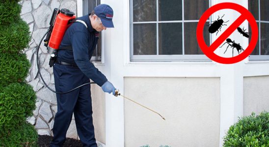 Enez Bit İlaçlama böcek ilaçlama ve haşere kontrolü — ilaclama-tr.com